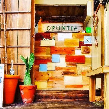 ゲストハウス オプンティア Guesthouse Opuntia Ishigaki  外观 照片